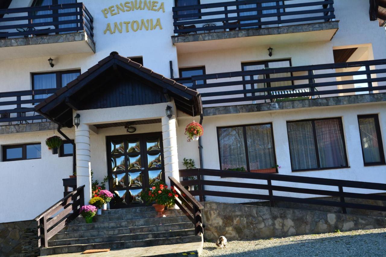 Pensiunea Antonia ブラン エクステリア 写真